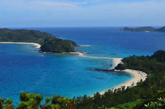 トリップアドバイザー提供