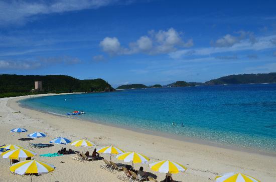 トリップアドバイザー提供