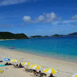 トリップアドバイザー提供