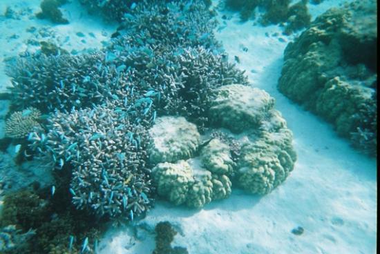 トリップアドバイザー提供