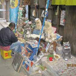 トリップアドバイザー提供