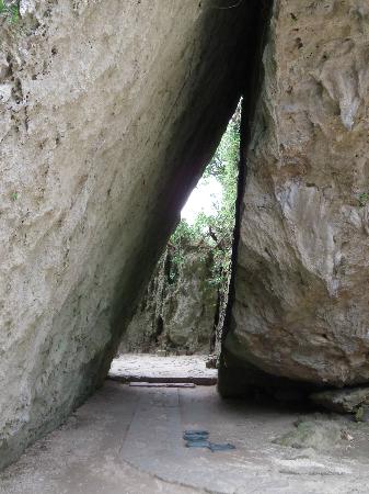 トリップアドバイザー提供