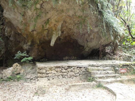 トリップアドバイザー提供