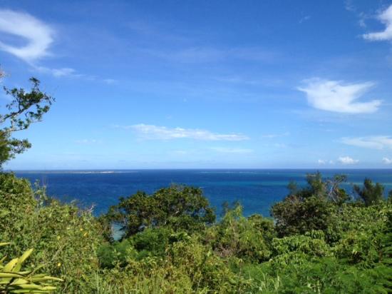 トリップアドバイザー提供