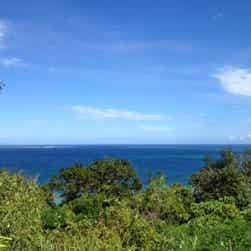 トリップアドバイザー提供