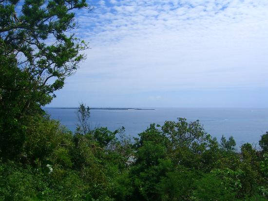 トリップアドバイザー提供