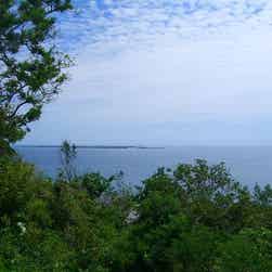 トリップアドバイザー提供