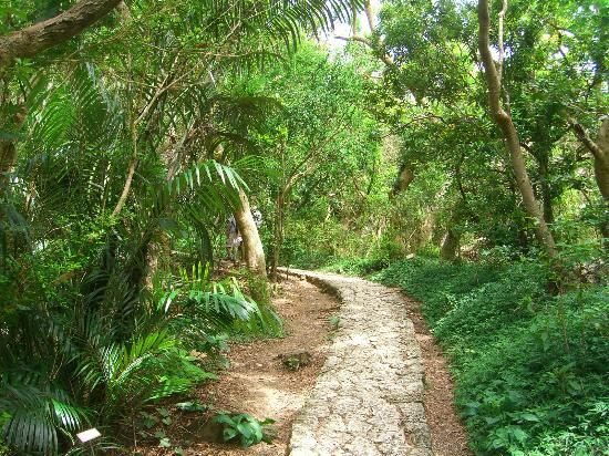 トリップアドバイザー提供