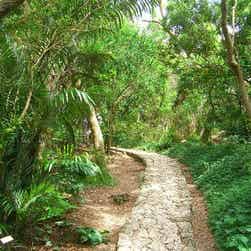 トリップアドバイザー提供