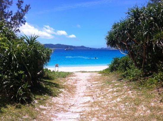 トリップアドバイザー提供