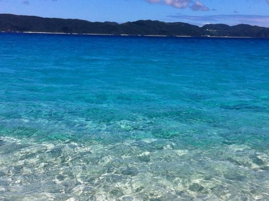 トリップアドバイザー提供