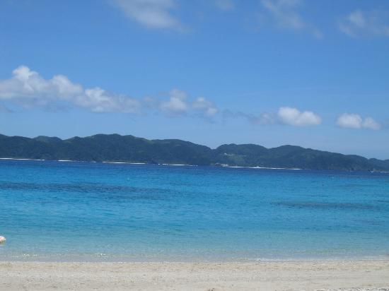 トリップアドバイザー提供