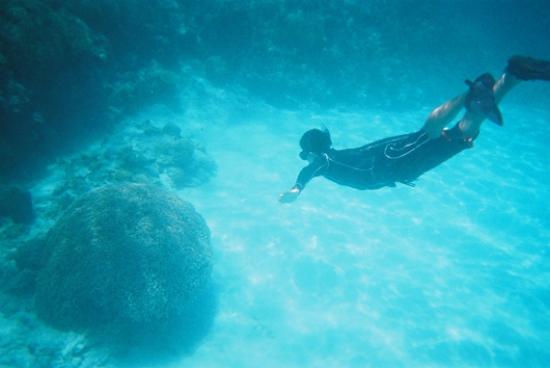 トリップアドバイザー提供