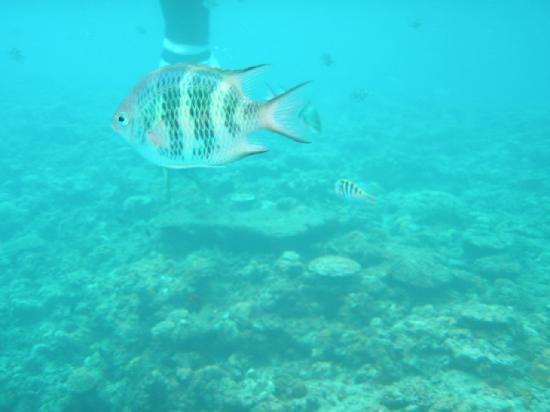 トリップアドバイザー提供