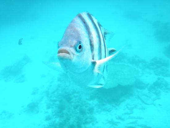 トリップアドバイザー提供