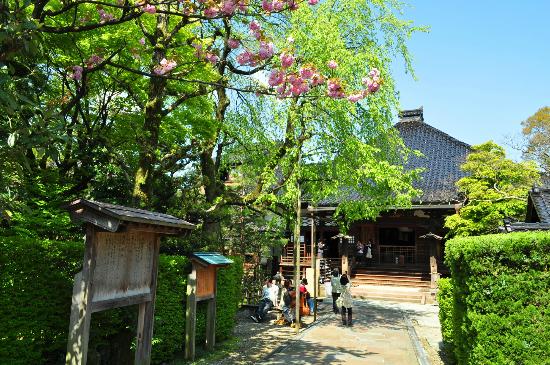 トリップアドバイザー提供