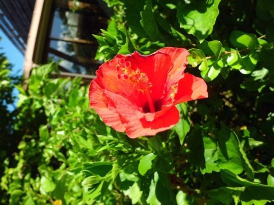 トリップアドバイザー提供