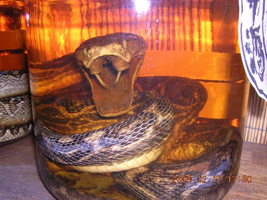 トリップアドバイザー提供