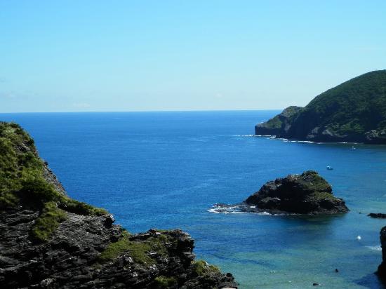 トリップアドバイザー提供