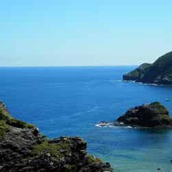 トリップアドバイザー提供