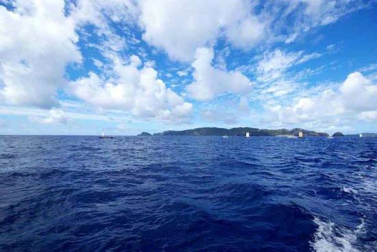 トリップアドバイザー提供