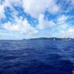 トリップアドバイザー提供