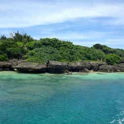 トリップアドバイザー提供