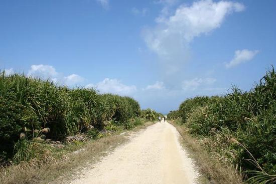 トリップアドバイザー提供