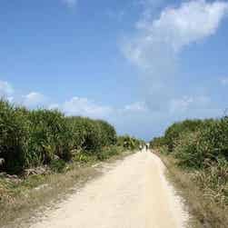 トリップアドバイザー提供