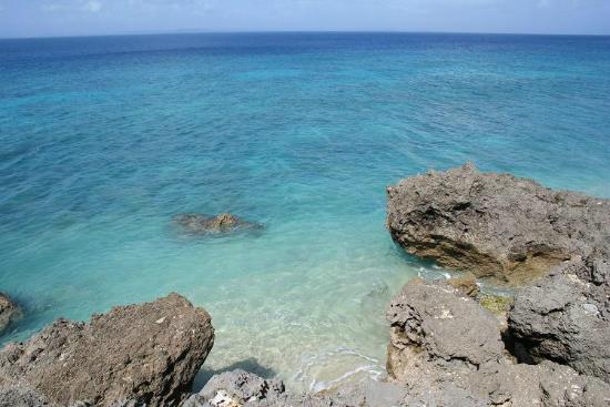 トリップアドバイザー提供