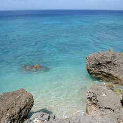 トリップアドバイザー提供