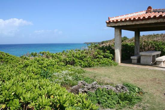 トリップアドバイザー提供