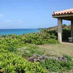 トリップアドバイザー提供