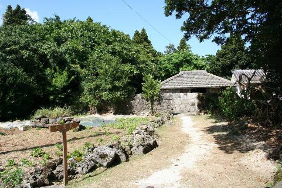 トリップアドバイザー提供