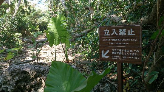 トリップアドバイザー提供