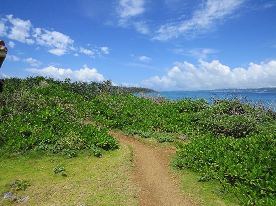 トリップアドバイザー提供