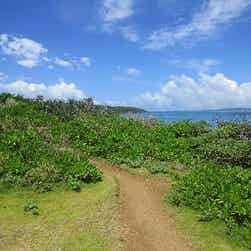 トリップアドバイザー提供