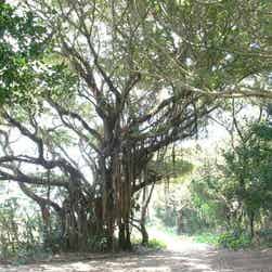 トリップアドバイザー提供