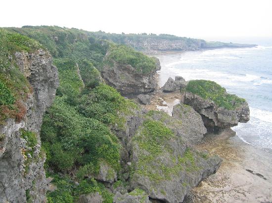 トリップアドバイザー提供