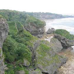 トリップアドバイザー提供