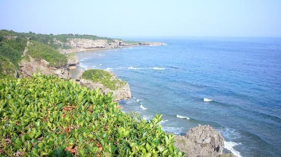 トリップアドバイザー提供