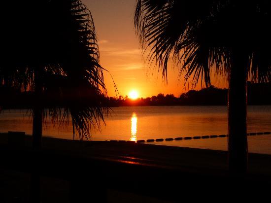 トリップアドバイザー提供