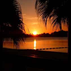 トリップアドバイザー提供