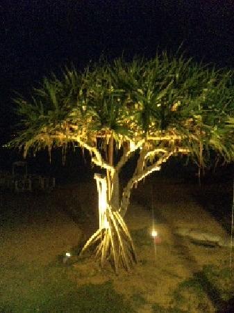 トリップアドバイザー提供