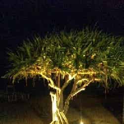 トリップアドバイザー提供