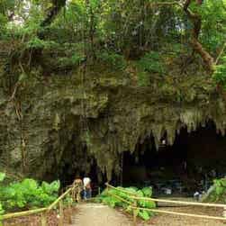 トリップアドバイザー提供