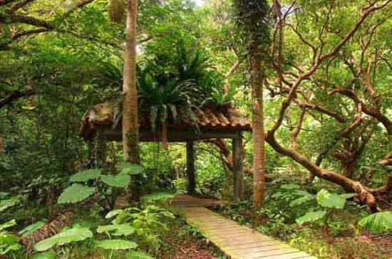 トリップアドバイザー提供