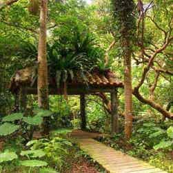 トリップアドバイザー提供