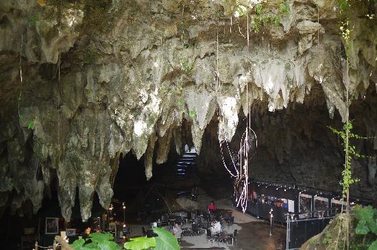 トリップアドバイザー提供