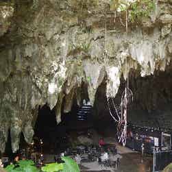 トリップアドバイザー提供